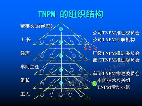 TnPM組織架構 TnPM組織架構